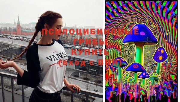 прущая мука Горно-Алтайск